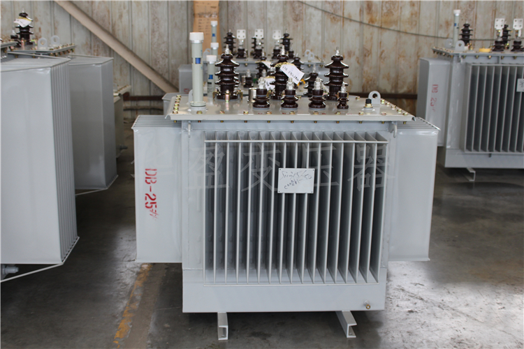 临沂S20-800kVA/10kV/0.4kV变压器
